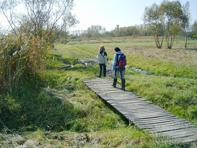 2010.10.09. 107.jpg